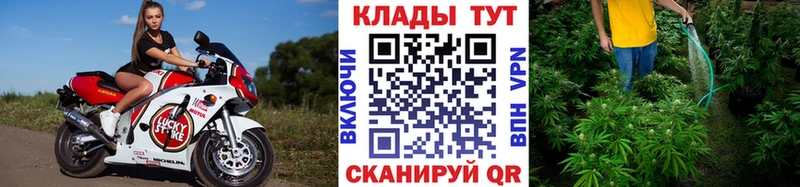 Какие есть наркотики Енисейск MDMA АМФЕТАМИН Alpha-PVP Канабис Гашиш COCAIN