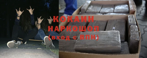 гидра Горнозаводск