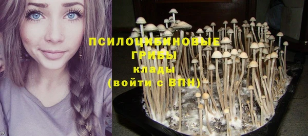 трава Володарск